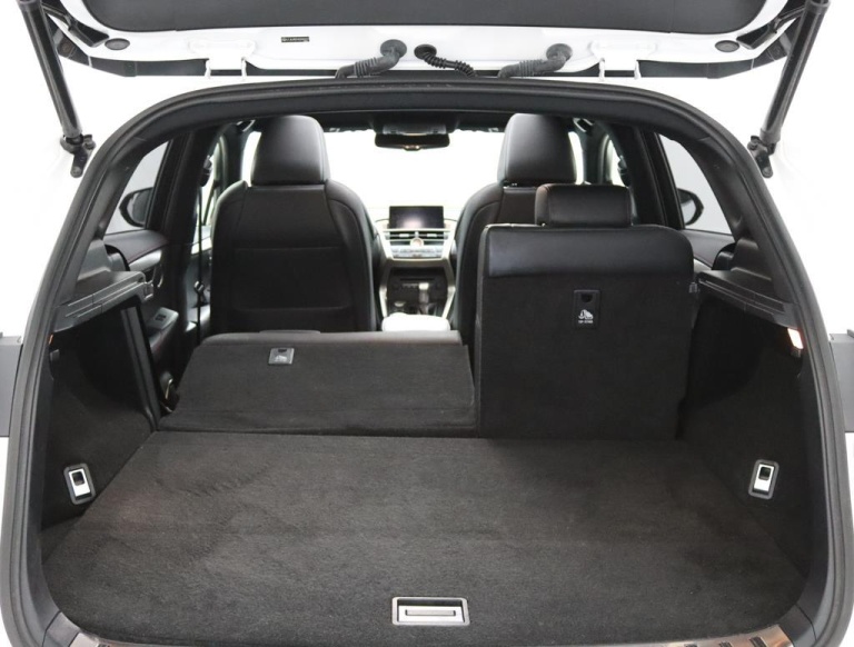Lexus NX - 300h AWD F Sport Line 24