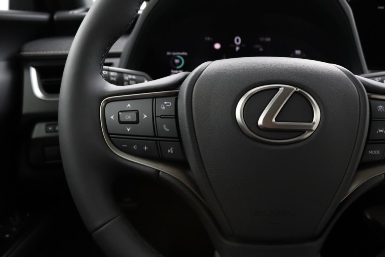 Lexus UX - 300h Luxury Line 17