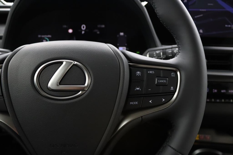 Lexus UX - 300h Luxury Line 18