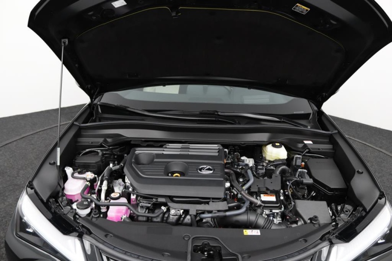 Lexus UX - 300h Luxury Line 31