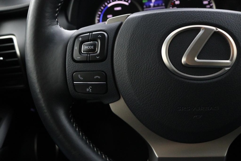 Lexus NX - 300h AWD 25th Edition 18