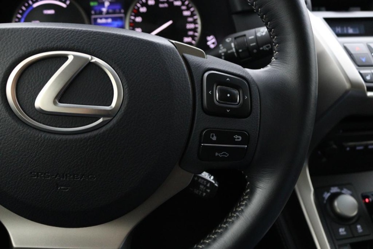 Lexus NX - 300h AWD 25th Edition 20