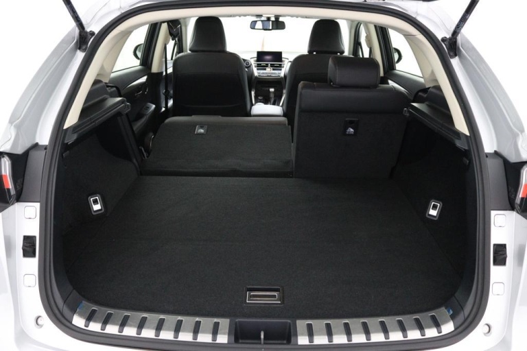 Lexus NX - 300h AWD 25th Edition 23