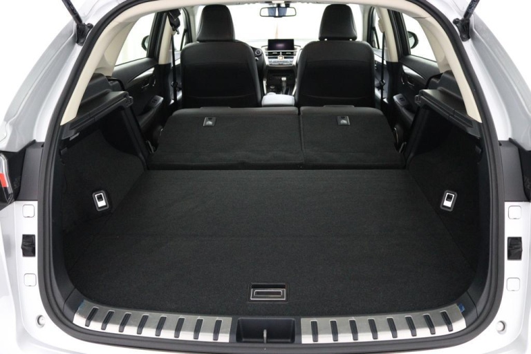 Lexus NX - 300h AWD 25th Edition 24
