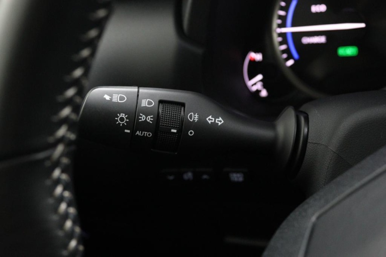 Lexus NX - 300h AWD 25th Edition 28