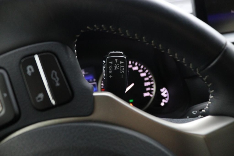Lexus NX - 300h AWD 25th Edition 39