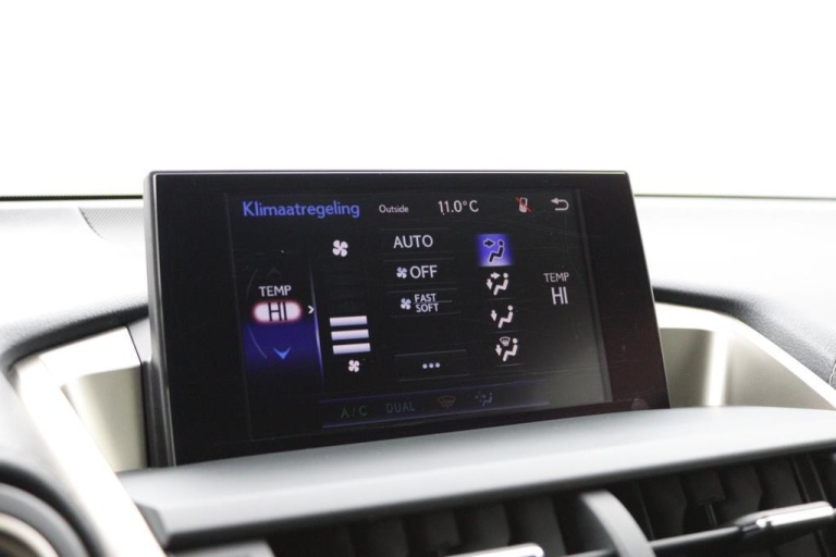Lexus NX - 300h AWD 25th Edition 40