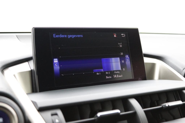 Lexus NX - 300h AWD 25th Edition 41