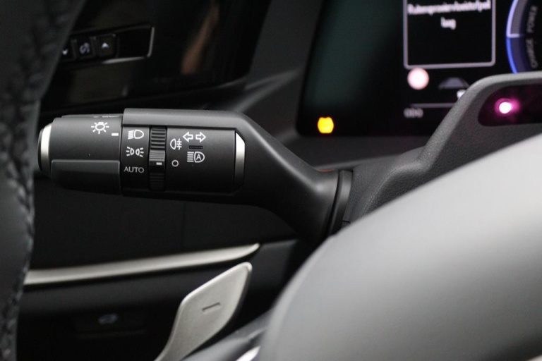 Lexus RZ - 300e Executive Line 71 kWh 29