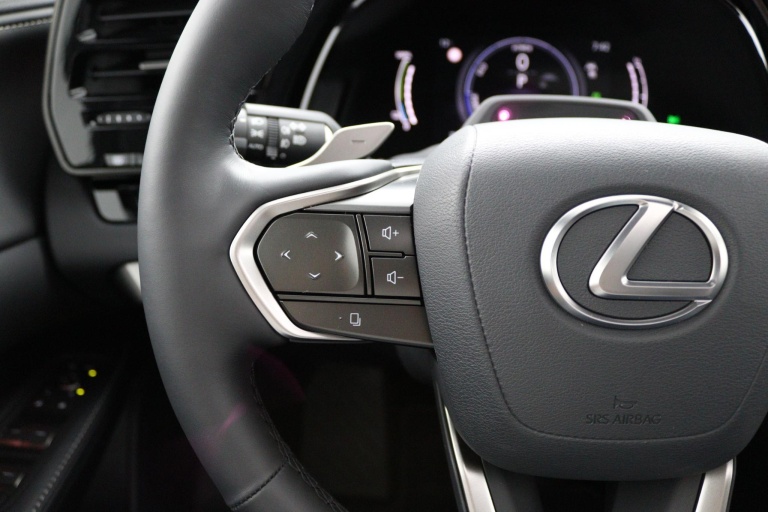 Lexus RX - 450h+ Plug-in Hybrid F Sport Design 19