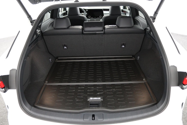 Lexus RX - 450h+ Plug-in Hybrid F Sport Design 24