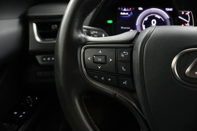 Lexus UX - 250h Luxury Line 19