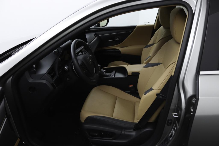 Lexus ES - 300h Business Line 17