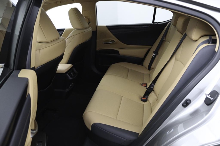 Lexus ES - 300h Business Line 18