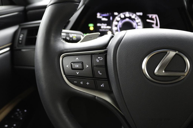 Lexus ES - 300h Business Line 19