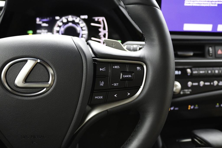 Lexus ES - 300h Business Line 21