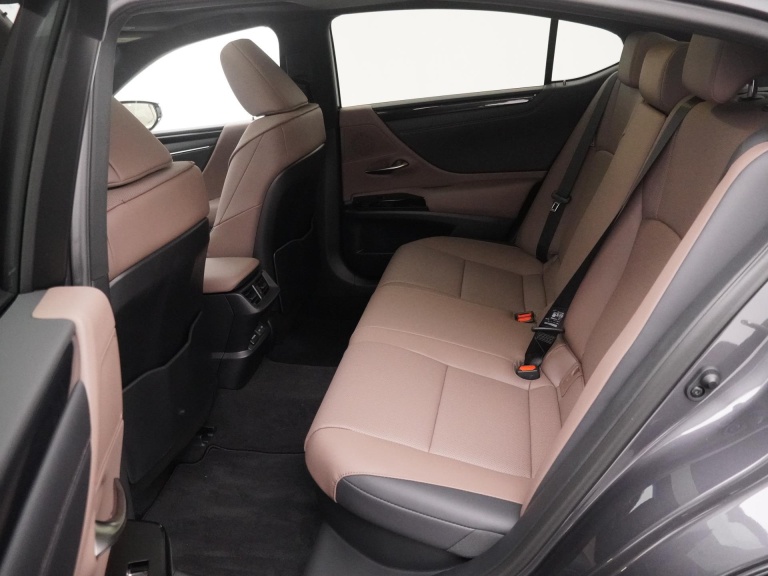 Lexus ES - 300h Business Line 10