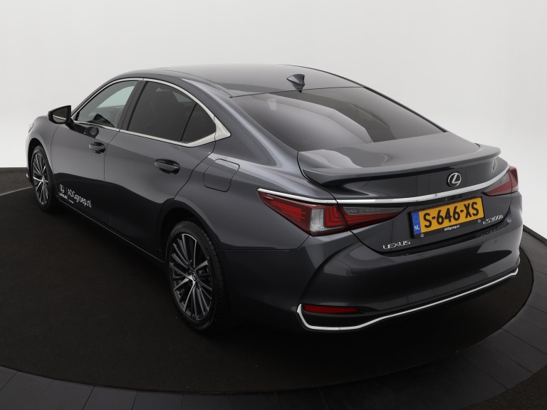 Lexus ES - 300h Business Line 12