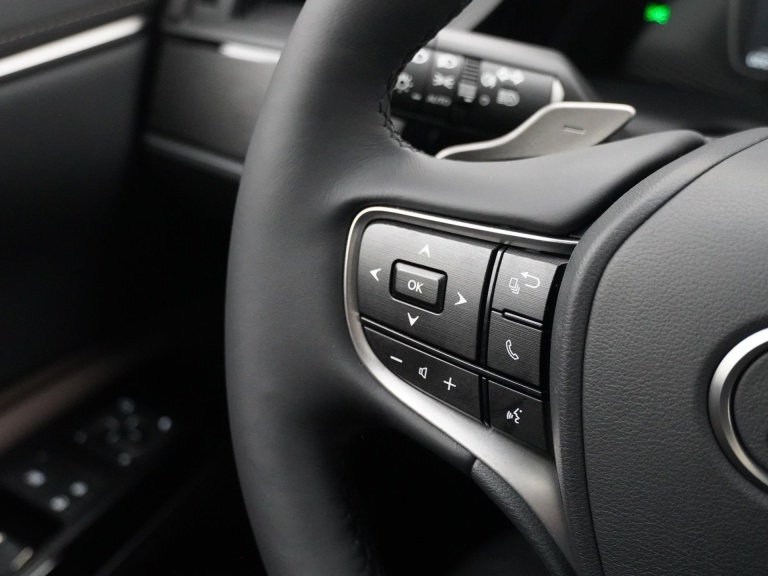 Lexus ES - 300h Business Line 18