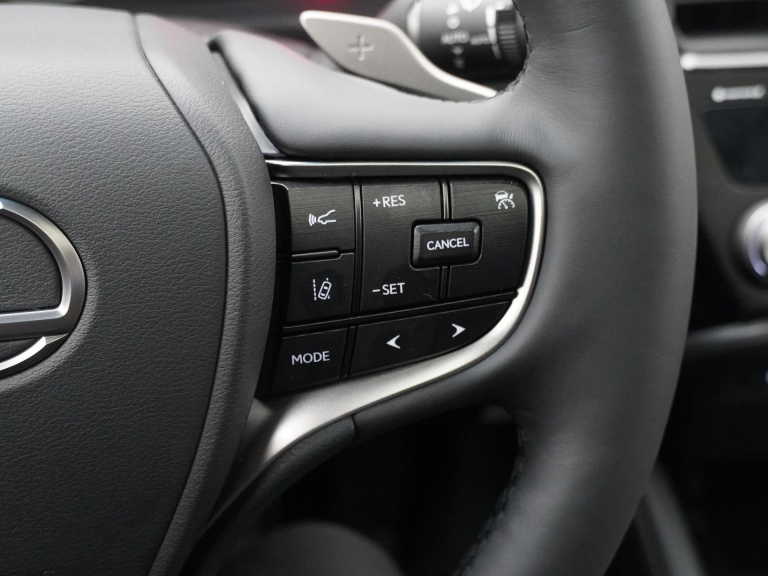 Lexus ES - 300h Business Line 19