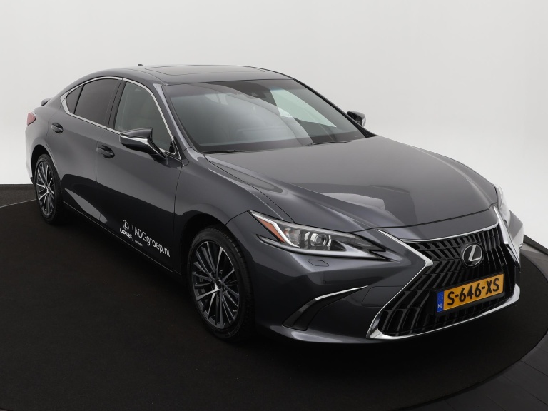 Lexus ES - 300h Business Line 21