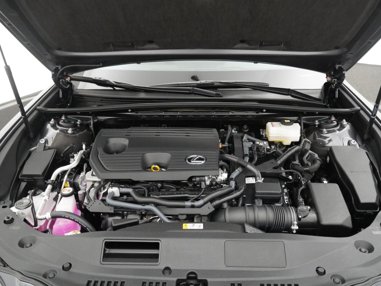 Lexus ES - 300h Business Line 24