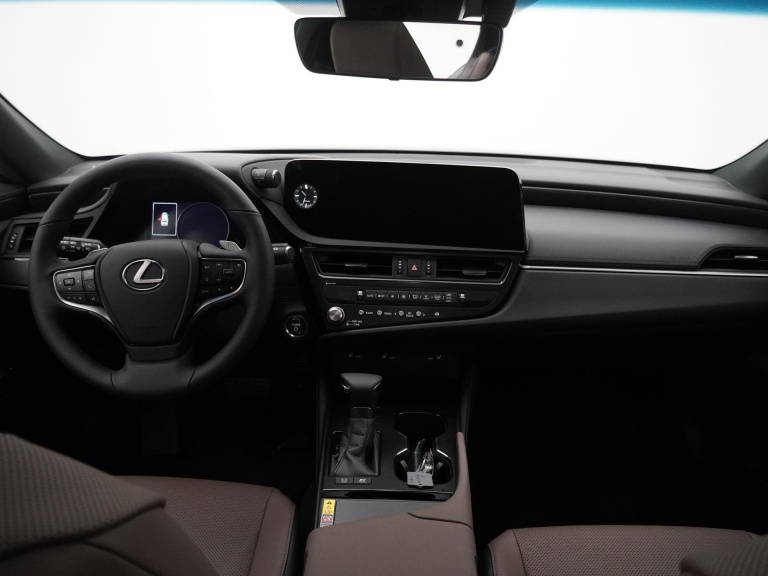 Lexus ES - 300h Business Line 4