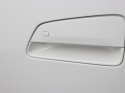 BYD DOLPHIN SURF