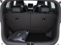 BYD DOLPHIN SURF