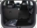 BYD DOLPHIN SURF