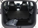BYD DOLPHIN SURF