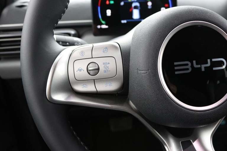 BYD DOLPHIN SURF - Comfort 43 kWh 29