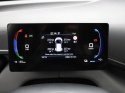 BYD DOLPHIN SURF