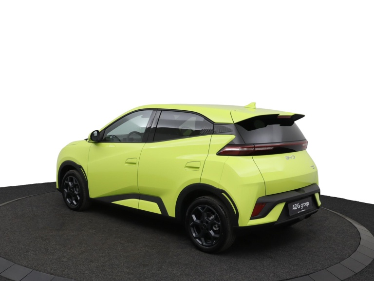 BYD DOLPHIN SURF - Comfort 43 kWh 12