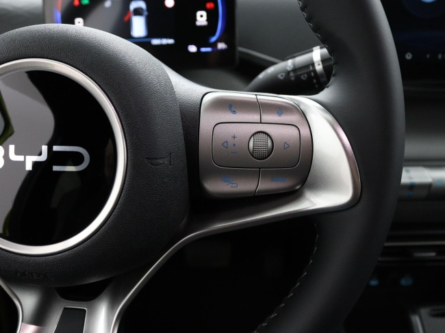 BYD DOLPHIN SURF - Comfort 43 kWh