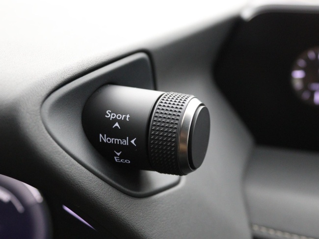 Lexus UX - 250h Business Line