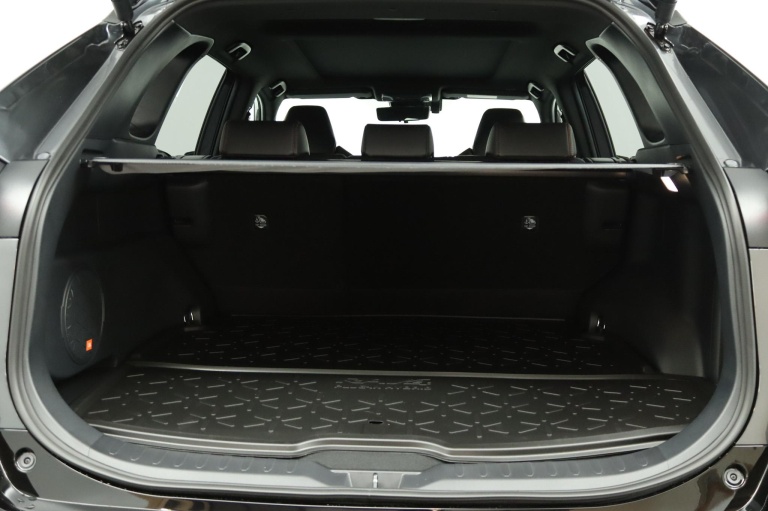 Toyota RAV4 - 2.5 Plug-in Hybrid AWD Bi-Tone Plus 21