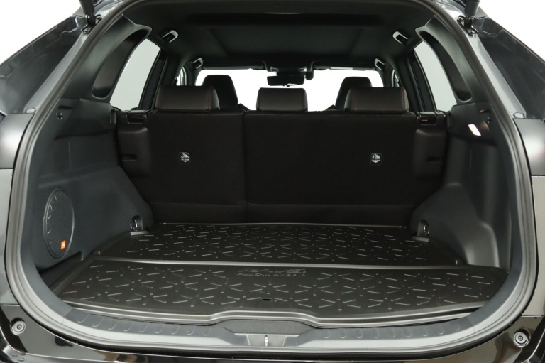 Toyota RAV4 - 2.5 Plug-in Hybrid AWD Bi-Tone Plus 22