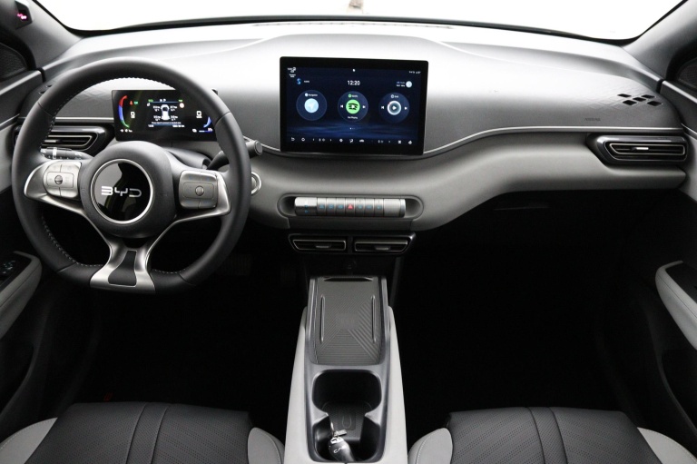 BYD DOLPHIN SURF - Comfort 43 kWh 13