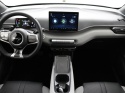 BYD DOLPHIN SURF