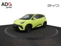 BYD DOLPHIN SURF