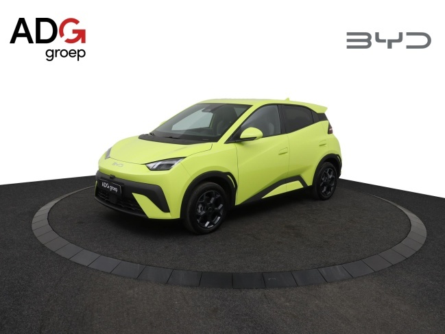 BYD DOLPHIN SURF