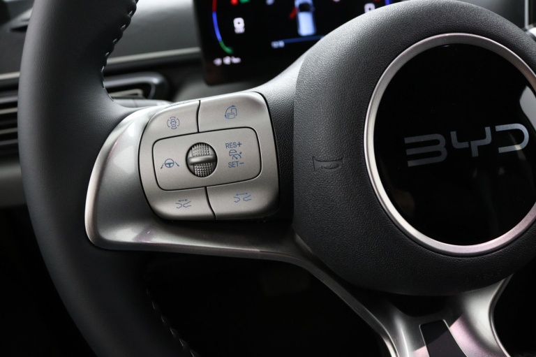BYD DOLPHIN SURF - Comfort 43 kWh 23