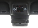 BYD DOLPHIN SURF