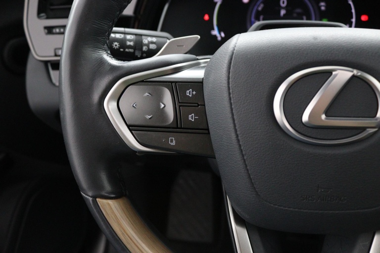 Lexus RX - 450h+ Plug-in Hybrid President Line 18
