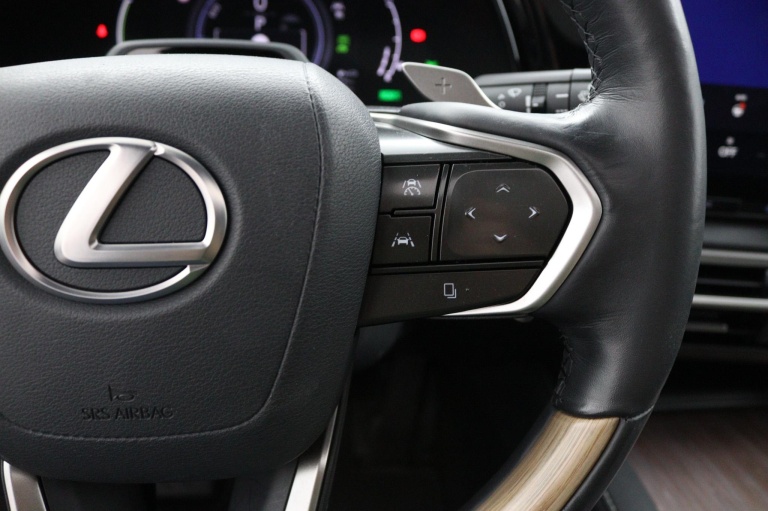 Lexus RX - 450h+ Plug-in Hybrid President Line 19
