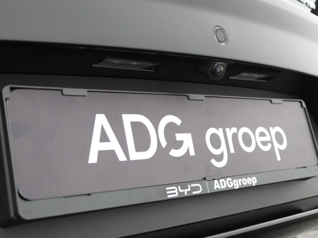 BYD DOLPHIN - Design 60.4 kWh