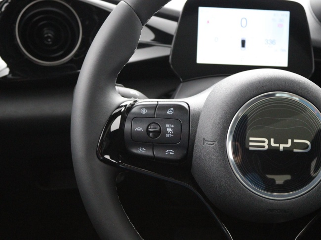 BYD DOLPHIN - Design 60.4 kWh