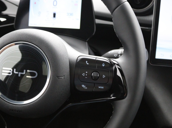 BYD DOLPHIN - Design 60.4 kWh