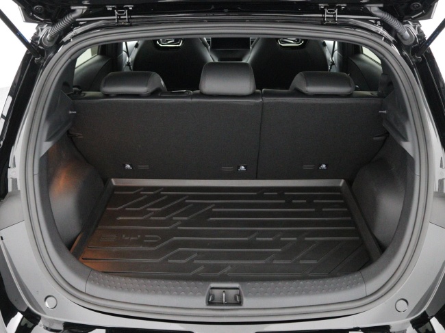 BYD DOLPHIN - Design 60.4 kWh